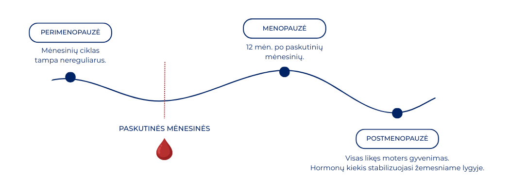perimenopauzė-menopauzė-postmenopauzė